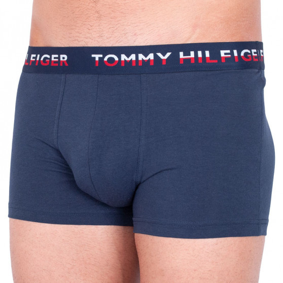 2PACK vīriešu bokseru šorti Tommy Hilfiger daudzkrāsaini (UM0UM00746 006)