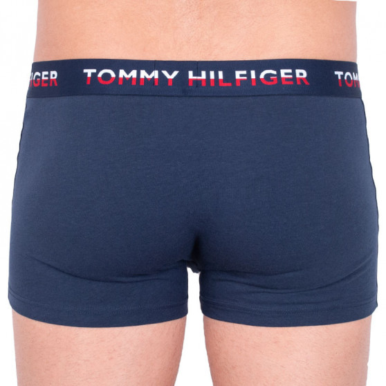 2PACK vīriešu bokseru šorti Tommy Hilfiger daudzkrāsaini (UM0UM00746 006)