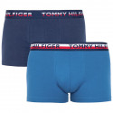 2PACK vīriešu bokseru šorti Tommy Hilfiger daudzkrāsaini (UM0UM00746 006)