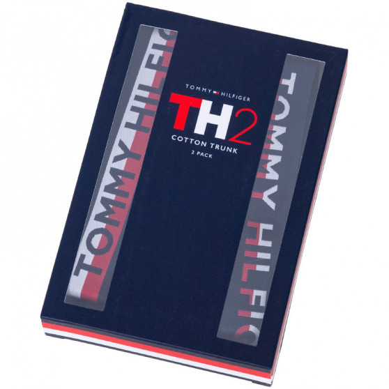 2PACK vīriešu bokseru šorti Tommy Hilfiger daudzkrāsaini (UM0UM00746 006)