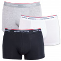 3PACK Vīriešu bokseru šorti Tommy Hilfiger daudzkrāsaini oversized (1U87905252 004)