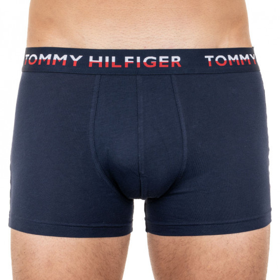 2PACK vīriešu bokseru šorti Tommy Hilfiger daudzkrāsaini (UM0UM01233 088)