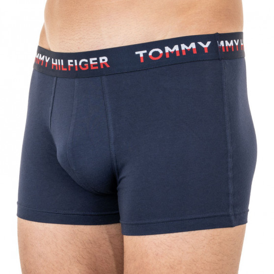 2PACK vīriešu bokseru šorti Tommy Hilfiger daudzkrāsaini (UM0UM01233 088)