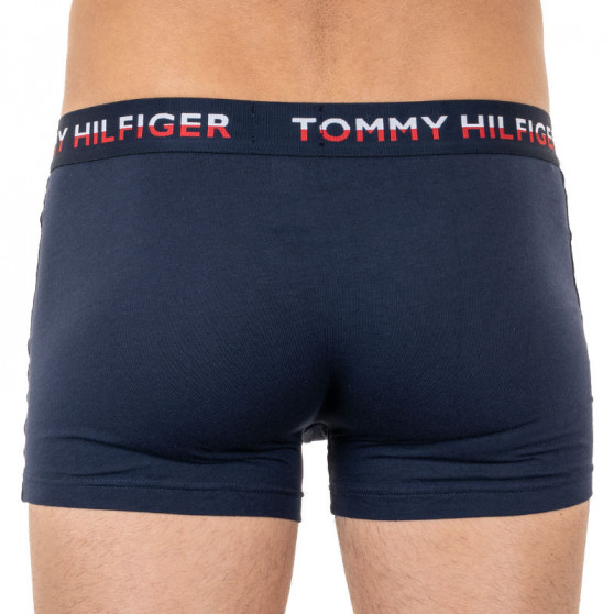 2PACK vīriešu bokseru šorti Tommy Hilfiger daudzkrāsaini (UM0UM01233 088)