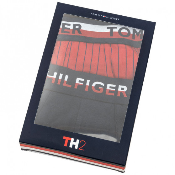 2PACK vīriešu bokseru šorti Tommy Hilfiger daudzkrāsaini (UM0UM01233 088)