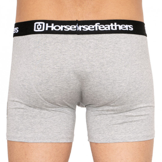 3PACK vīriešu bokseru šorti Horsefeathers daudzkrāsaini (AM067D)