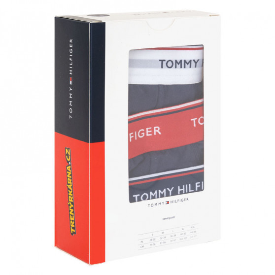 3PACK vīriešu apakšbikses Tommy Hilfiger tumši zilas (1U87903766 904)