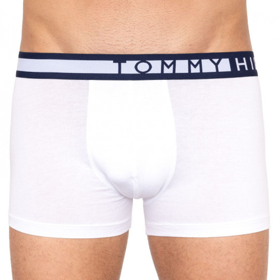 3PACK vīriešu bokseru šorti Tommy Hilfiger daudzkrāsaini (UM0UM01234 599)