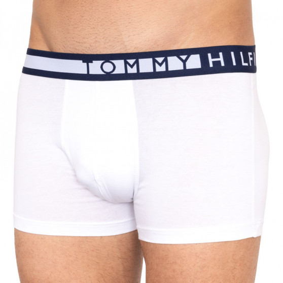 3PACK vīriešu bokseru šorti Tommy Hilfiger daudzkrāsaini (UM0UM01234 599)