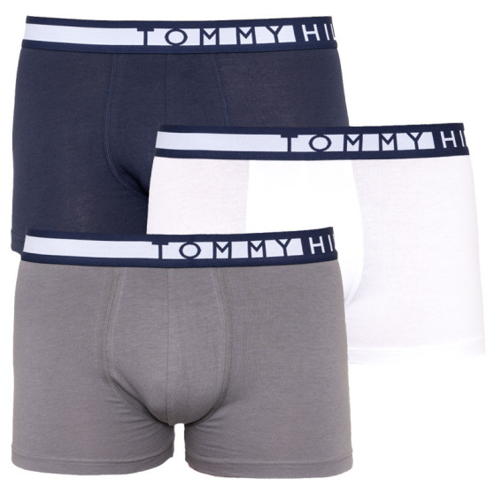 3PACK vīriešu bokseru šorti Tommy Hilfiger daudzkrāsaini (UM0UM01234 599)