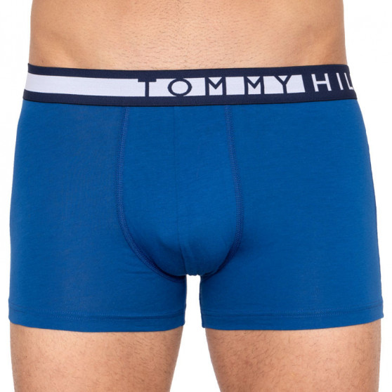 3PACK vīriešu bokseru šorti Tommy Hilfiger daudzkrāsaini (UM0UM01565 018)