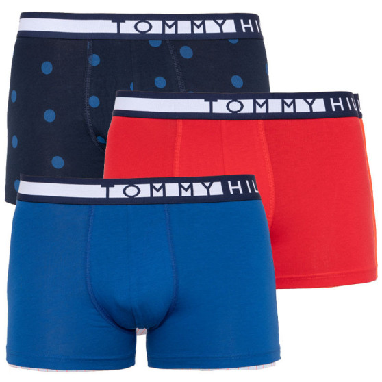 3PACK vīriešu bokseru šorti Tommy Hilfiger daudzkrāsaini (UM0UM01565 018)