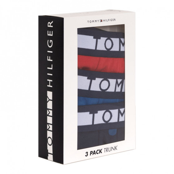 3PACK vīriešu bokseru šorti Tommy Hilfiger daudzkrāsaini (UM0UM01565 018)