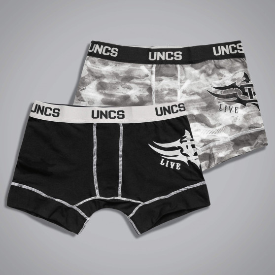 2PACK vīriešu bokseršorti  Wings II oversized UNCS