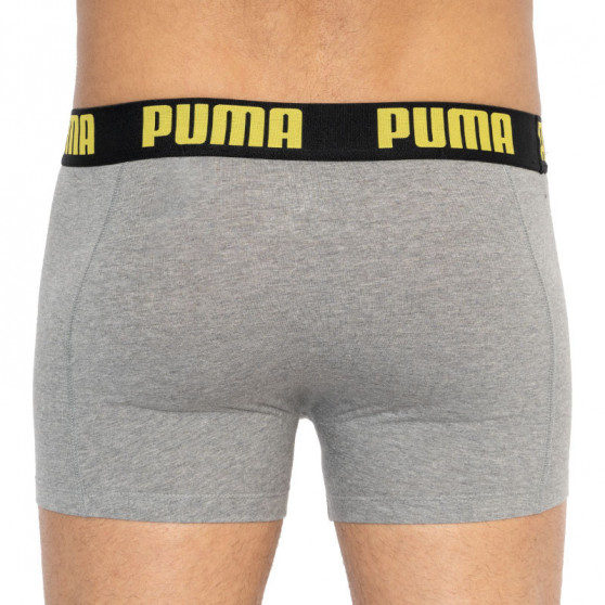 2PACK vīriešu bokseru šorti Puma daudzkrāsaini (501009001 020)