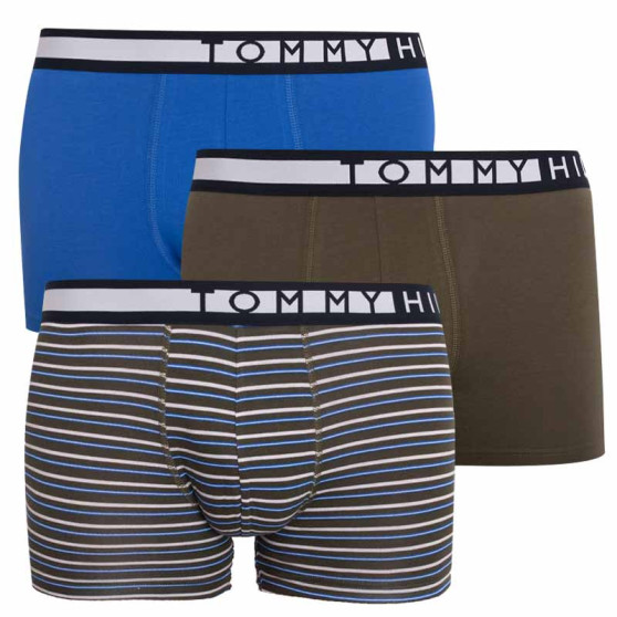 3PACK vīriešu bokseru šorti Tommy Hilfiger daudzkrāsaini (UM0UM01565 0TY)