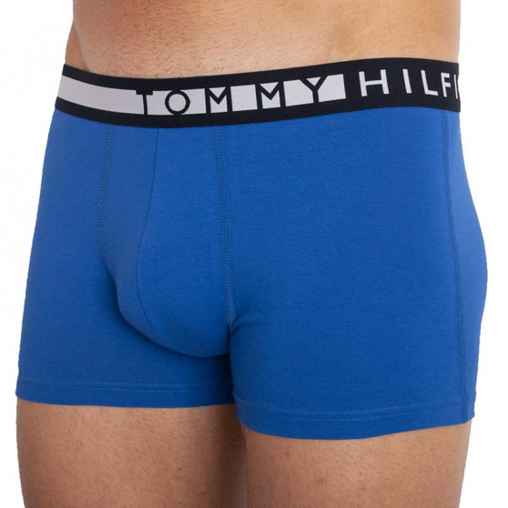 3PACK vīriešu bokseru šorti Tommy Hilfiger daudzkrāsaini (UM0UM01565 0TY)