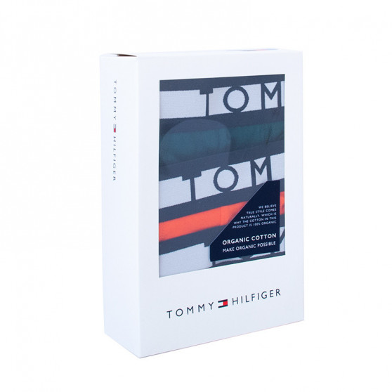 3PACK vīriešu bokseru šorti Tommy Hilfiger daudzkrāsaini (UM0UM01565 0T2)