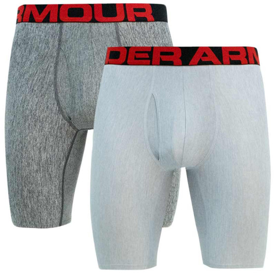 2PACK vīriešu bokseru šorti Under Armour pelēki (1363622 011)