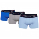 3PACK vīriešu bokseru šorti Tommy Hilfiger daudzkrāsaini (1U87903842 0T1)