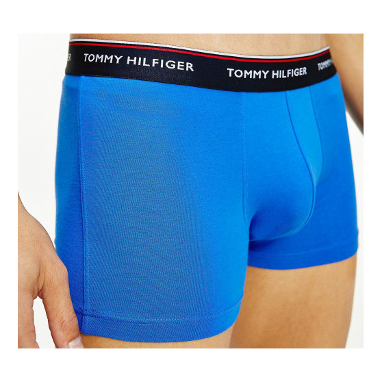 3PACK vīriešu bokseru šorti Tommy Hilfiger daudzkrāsaini (1U87903842 0T1)