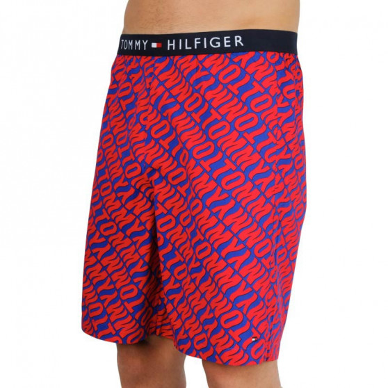 Vīriešu šorti Tommy Hilfiger daudzkrāsaini (UM0UM01765 0NX)