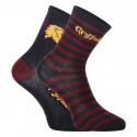 2PACK Bērnu zeķes E plus M Harijs Poters daudzkrāsains (GRYFFINDOR-A)