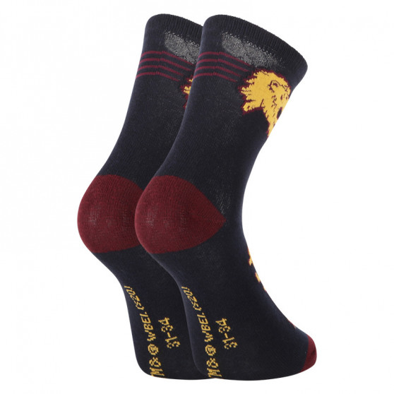 2PACK Bērnu zeķes E plus M Harijs Poters daudzkrāsains (GRYFFINDOR-A)