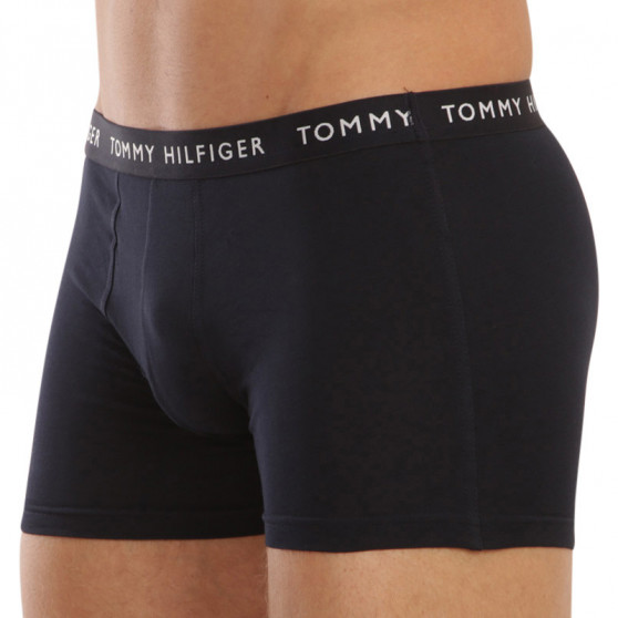 3PACK vīriešu bokseru šorti Tommy Hilfiger tumši zili (UM0UM02203 0SF)