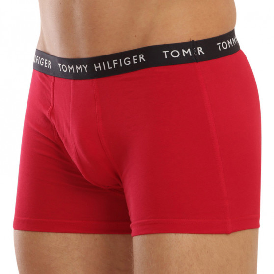 3PACK vīriešu bokseru šorti Tommy Hilfiger daudzkrāsaini (UM0UM02203 0XI)