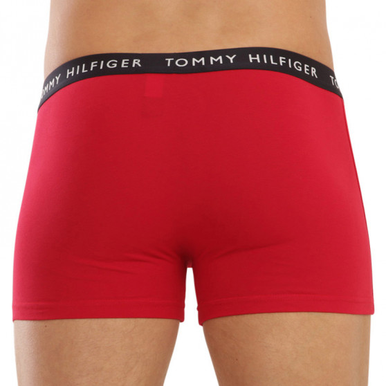 3PACK vīriešu bokseru šorti Tommy Hilfiger daudzkrāsaini (UM0UM02203 0XI)