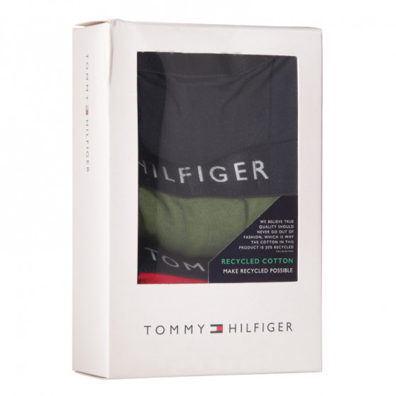 3PACK vīriešu bokseru šorti Tommy Hilfiger daudzkrāsaini (UM0UM02203 0XI)