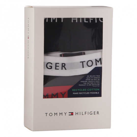 3PACK vīriešu bokseru šorti Tommy Hilfiger tumši zili (UM0UM02324 0SE)