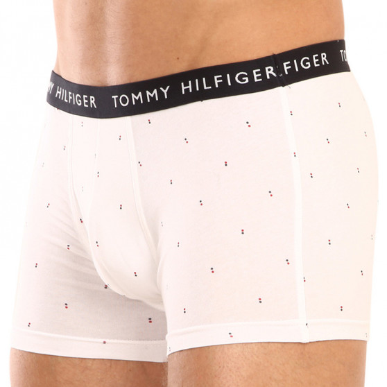 3PACK vīriešu bokseru šorti Tommy Hilfiger daudzkrāsaini (UM0UM02325 0SG)