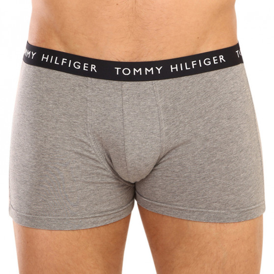 3PACK vīriešu bokseru šorti Tommy Hilfiger daudzkrāsaini (UM0UM02325 0SG)