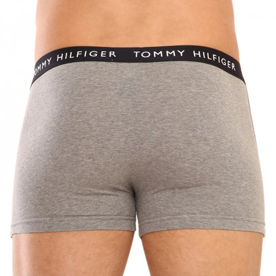 3PACK vīriešu bokseru šorti Tommy Hilfiger daudzkrāsaini (UM0UM02325 0SG)