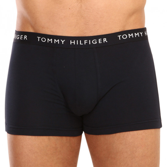 3PACK vīriešu bokseru šorti Tommy Hilfiger daudzkrāsaini (UM0UM02325 0SG)