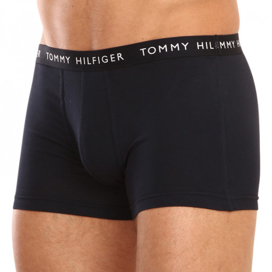 3PACK vīriešu bokseru šorti Tommy Hilfiger daudzkrāsaini (UM0UM02325 0SG)