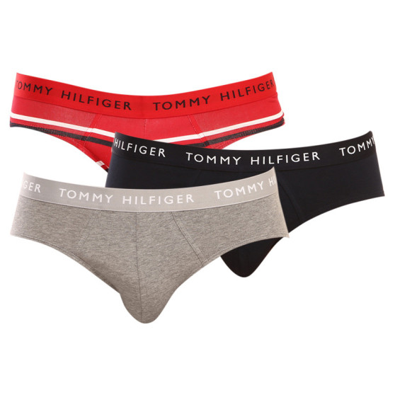 3PACK vīriešu apakšbikses Tommy Hilfiger daudzkrāsains (UM0UM02328 0AH)