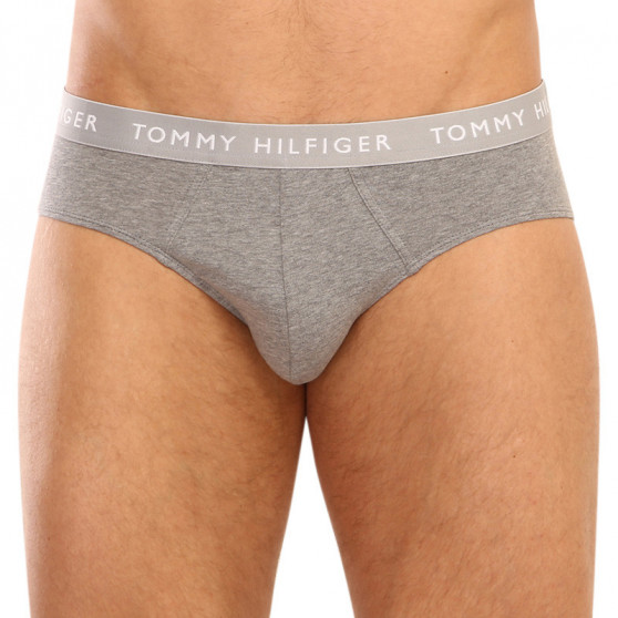 3PACK vīriešu apakšbikses Tommy Hilfiger daudzkrāsains (UM0UM02328 0AH)