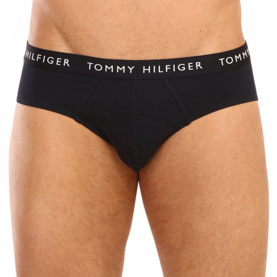 3PACK vīriešu apakšbikses Tommy Hilfiger daudzkrāsains (UM0UM02328 0AH)