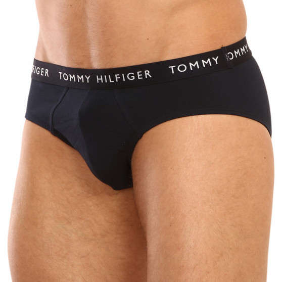 3PACK vīriešu apakšbikses Tommy Hilfiger daudzkrāsains (UM0UM02328 0AH)