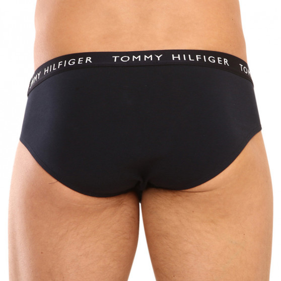 3PACK vīriešu apakšbikses Tommy Hilfiger daudzkrāsains (UM0UM02328 0AH)