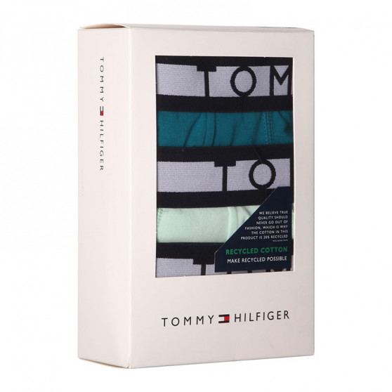 3PACK vīriešu bokseru šorti Tommy Hilfiger daudzkrāsaini (UM0UM01565 0R2)