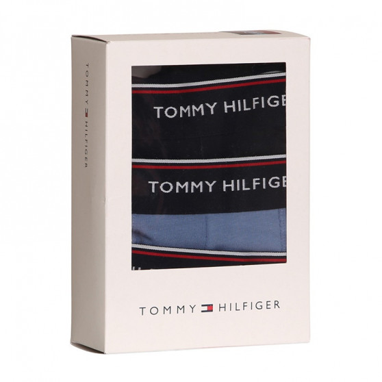 3PACK vīriešu bokseru šorti Tommy Hilfiger daudzkrāsaini (1U87903842 0TU)