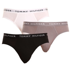 3PACK vīriešu apakšbikses Tommy Hilfiger daudzkrāsains (UM0UM02206 0TG)