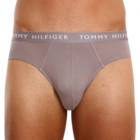 3PACK vīriešu apakšbikses Tommy Hilfiger daudzkrāsains (UM0UM02206 0TG)