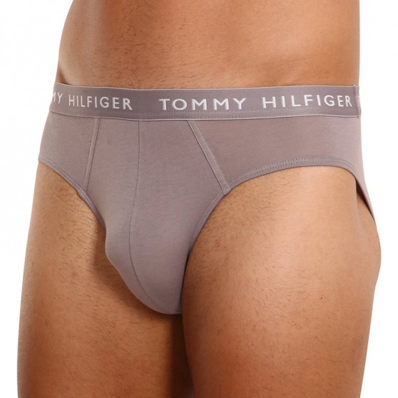 3PACK vīriešu apakšbikses Tommy Hilfiger daudzkrāsains (UM0UM02206 0TG)