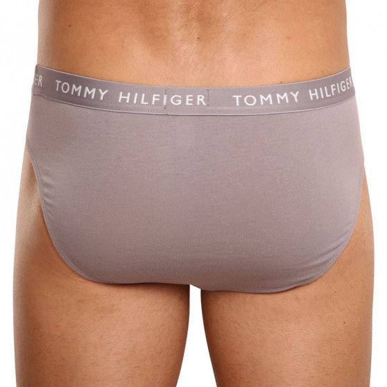 3PACK vīriešu apakšbikses Tommy Hilfiger daudzkrāsains (UM0UM02206 0TG)