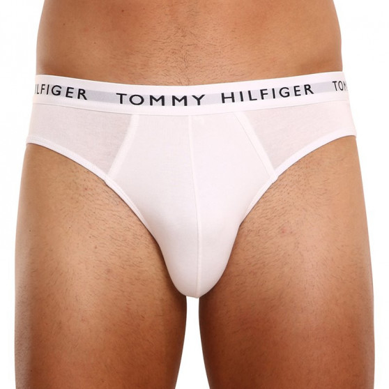 3PACK vīriešu apakšbikses Tommy Hilfiger daudzkrāsains (UM0UM02206 0TG)